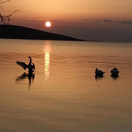 Marmari Megali Ammos Oasis Studio's Prázdninový dům Agia Marina (Evia)
