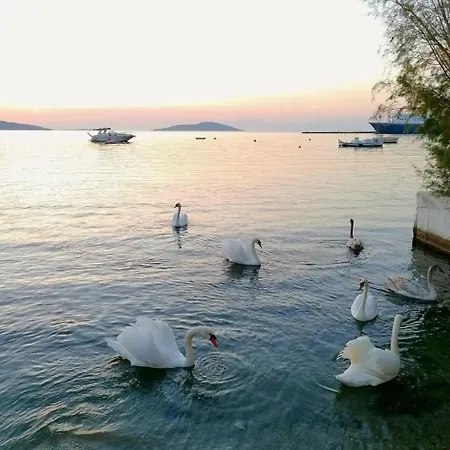 Marmari Megali Ammos Oasis Studio's Agia Marina (Evia)