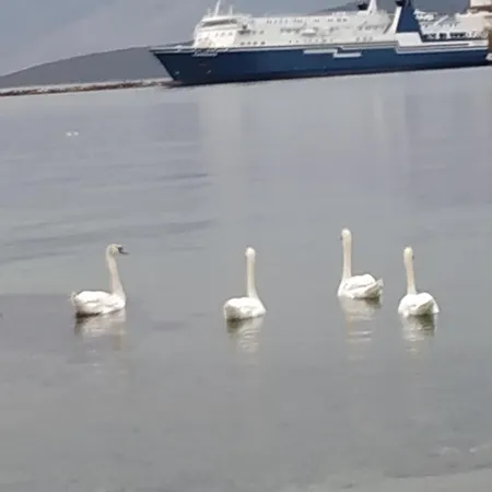 Σπίτι διακοπών Marmari Megali Ammos Oasis &